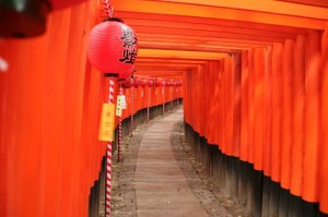 Chemin de torii